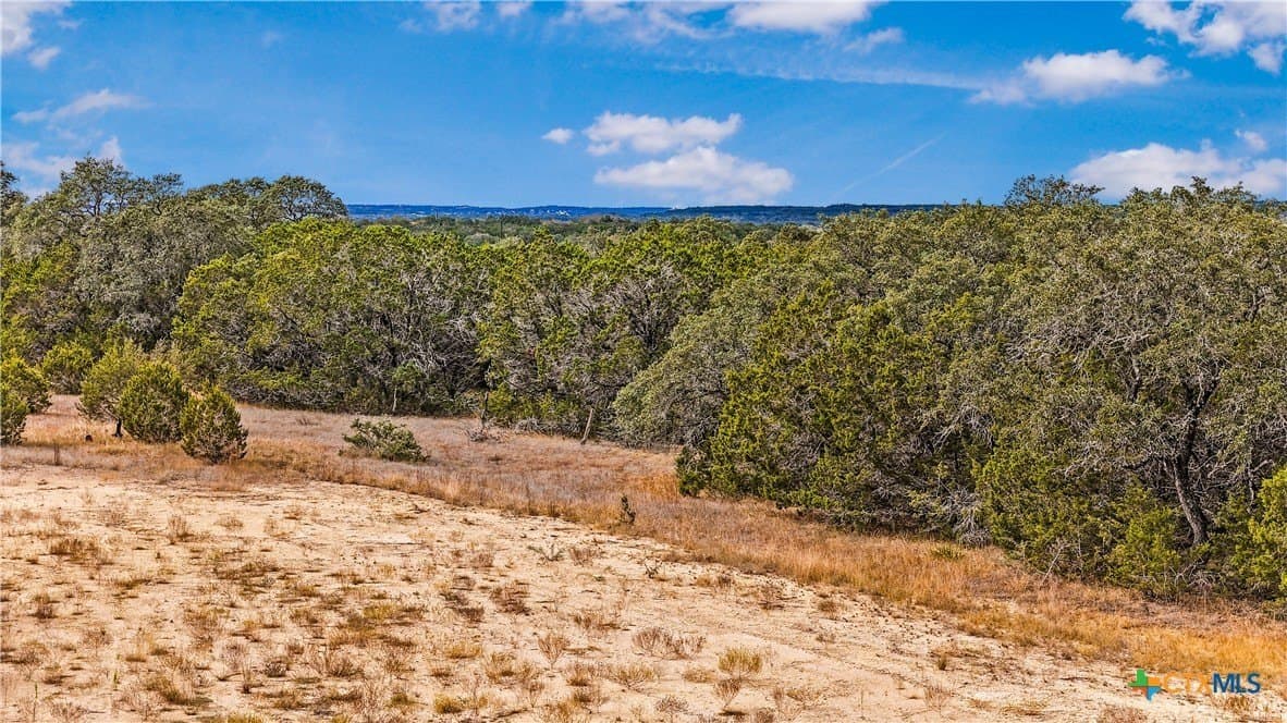 1.31 acres in Comal County - photo 12