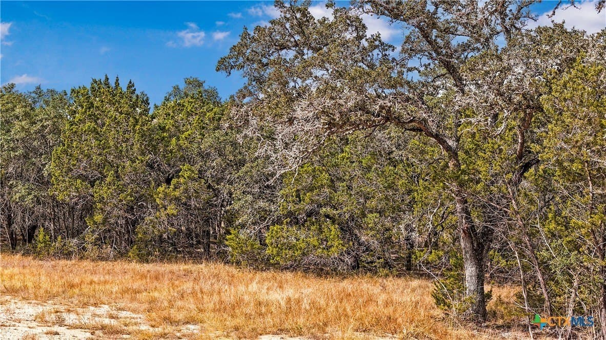 1.31 acres in Comal County - photo 2