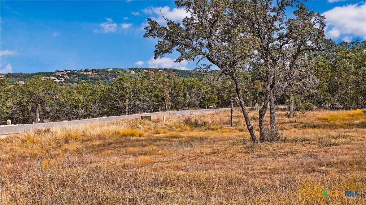1.31 acres in Comal County - photo 3