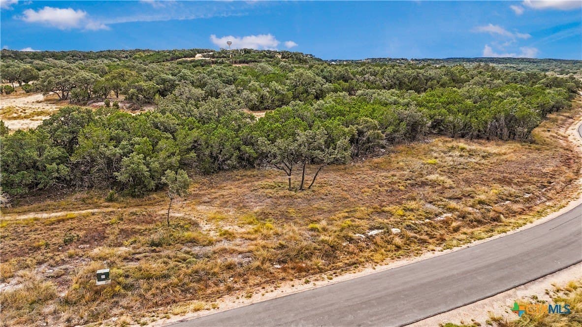 1.31 acres in Comal County - photo 15