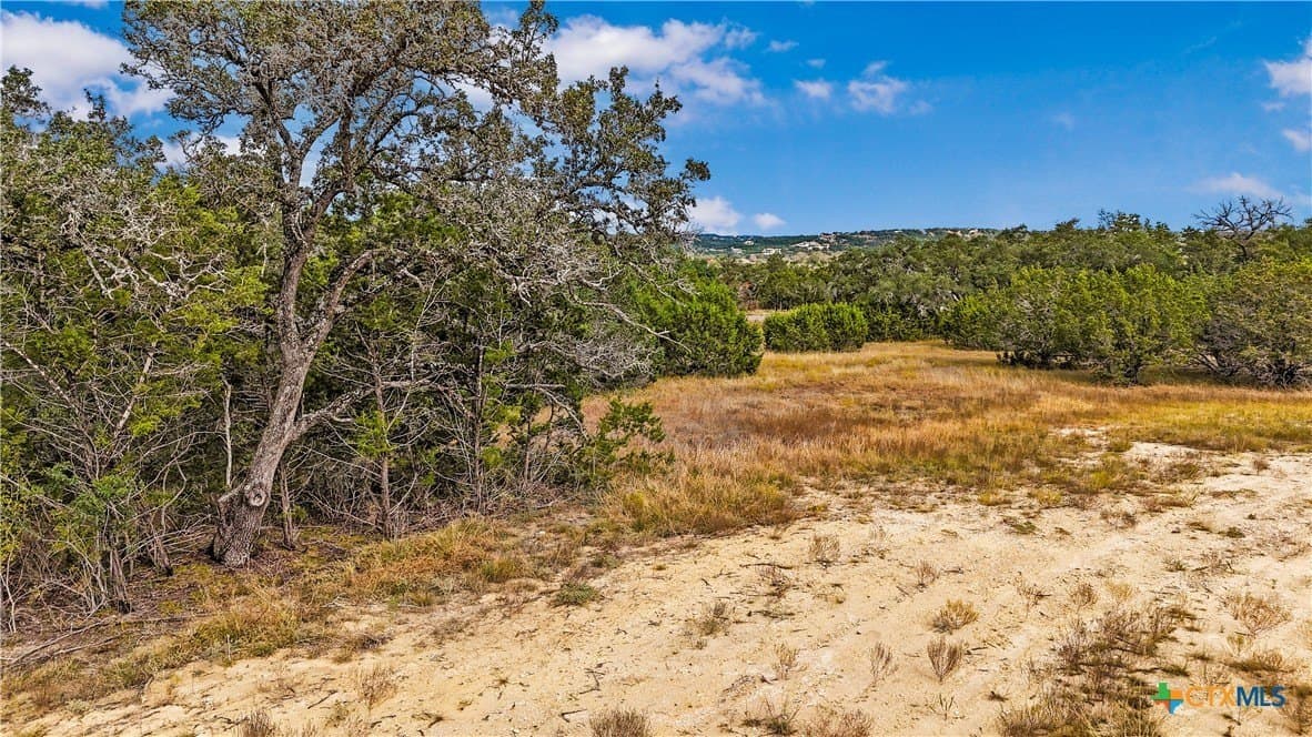 1.31 acres in Comal County - photo 10