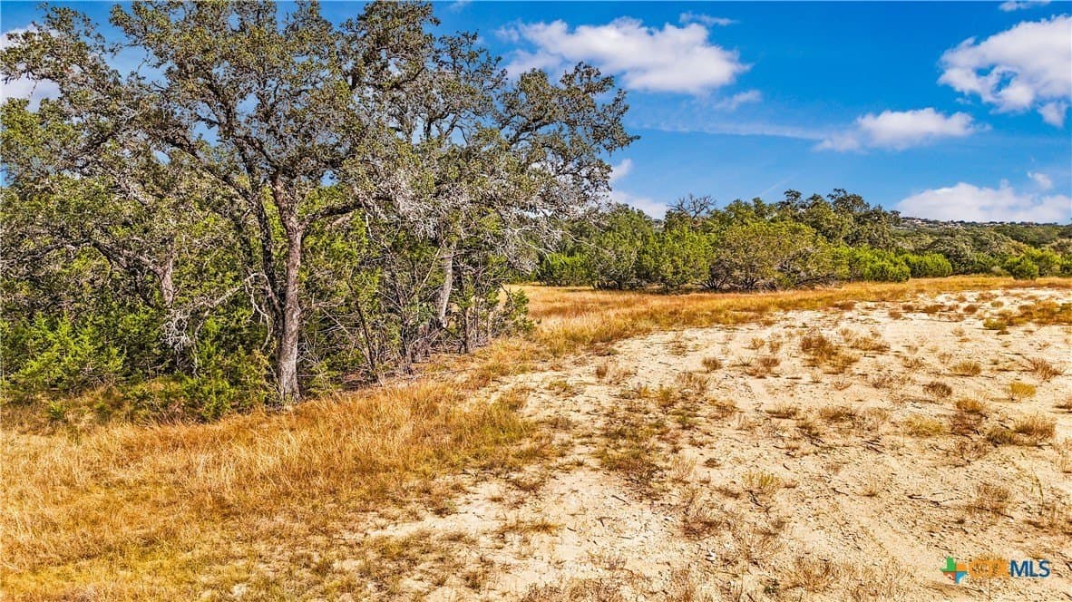 1.31 acres in Comal County - photo 5