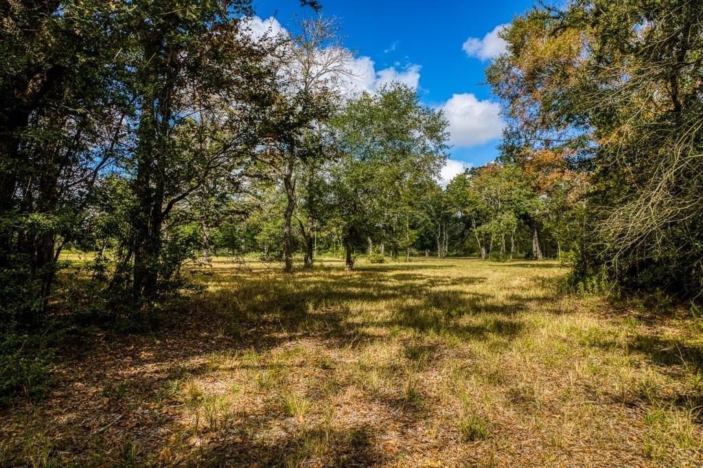 33.6 acres in Grimes County - photo 27
