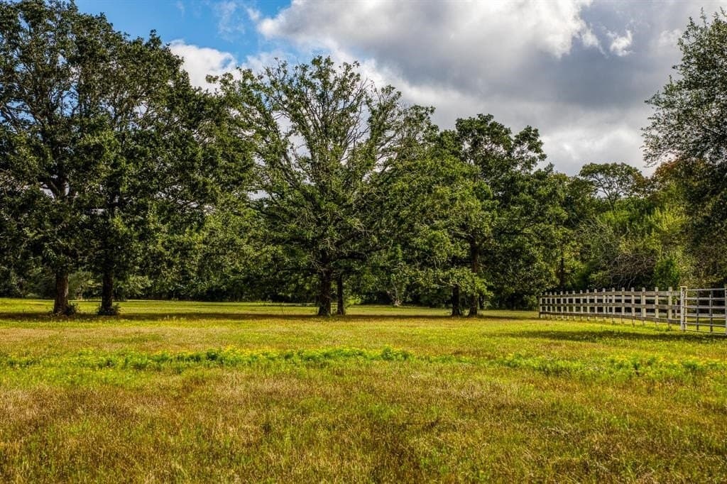 33.6 acres in Grimes County - photo 14