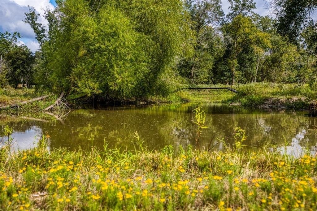 33.6 acres in Grimes County - photo 24