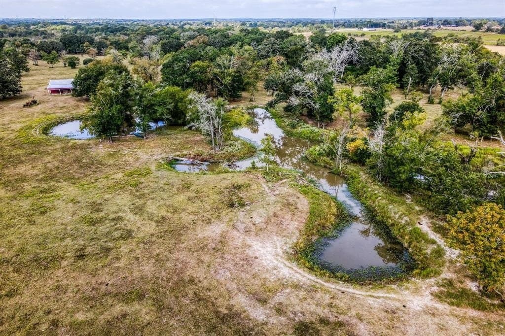 33.6 acres in Grimes County - photo 22