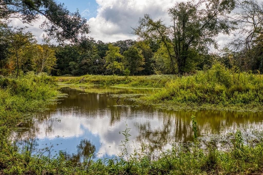 33.6 acres in Grimes County - photo 25