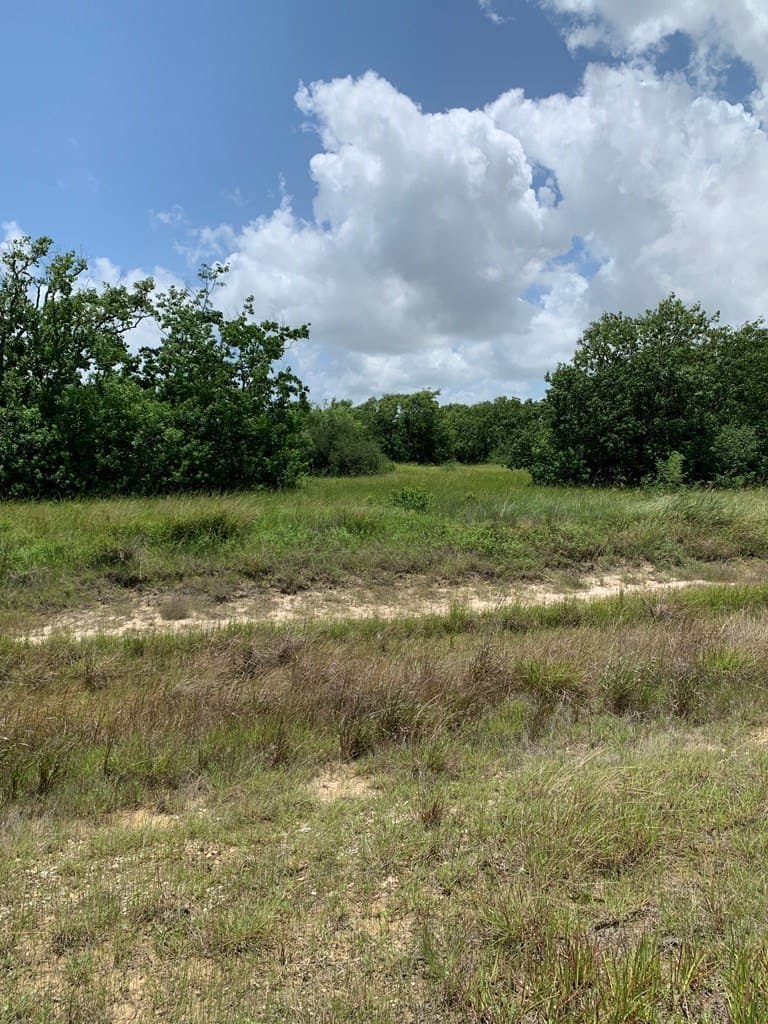 3 acres in Texas County - photo 5