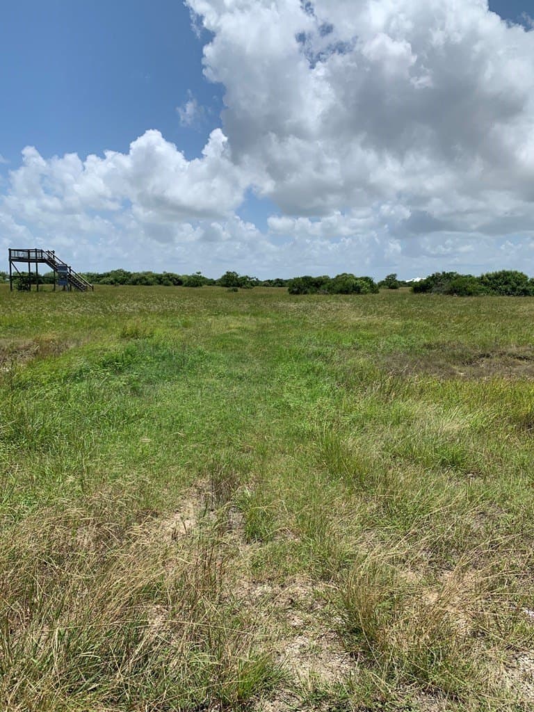 3 acres in Texas County - photo 2