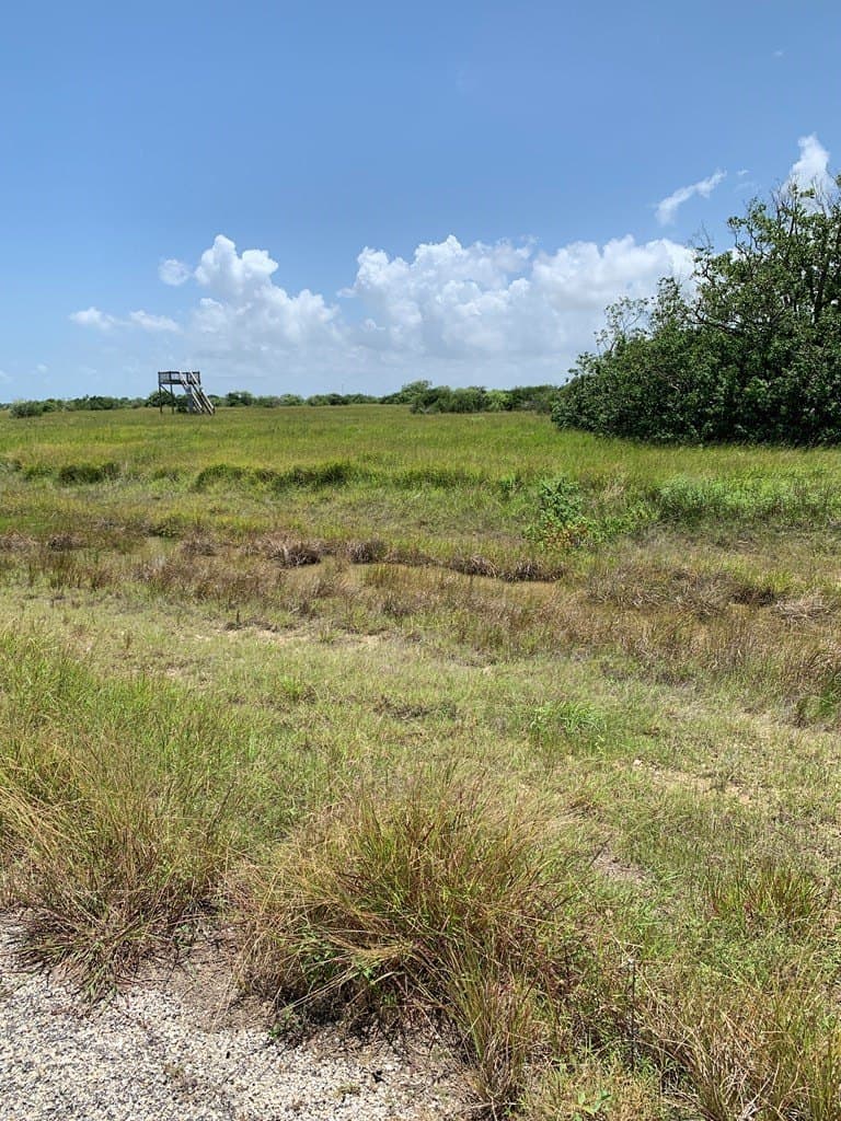3 acres in Texas County - photo 4