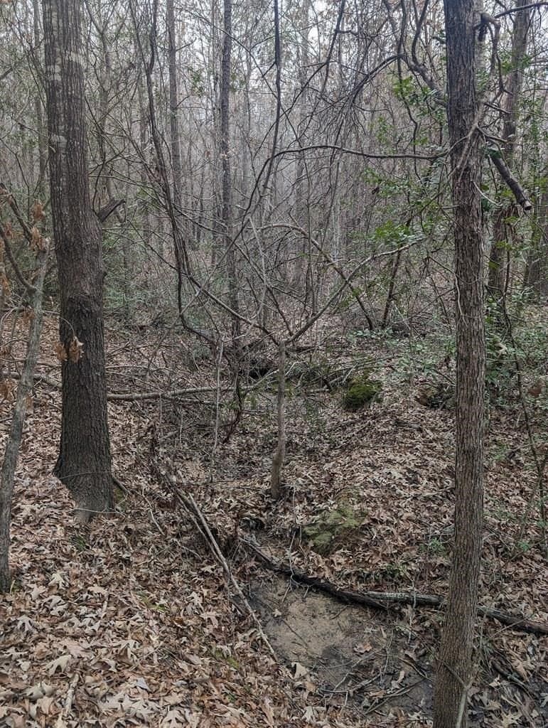 9.8 acres in Wood County - photo 2
