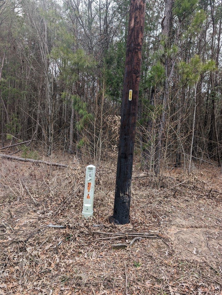 9.8 acres in Wood County - photo 4