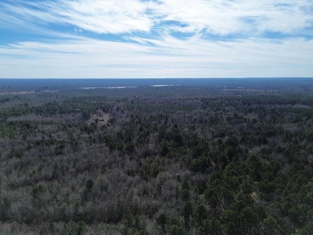 9.8 acres in Wood County - photo 5