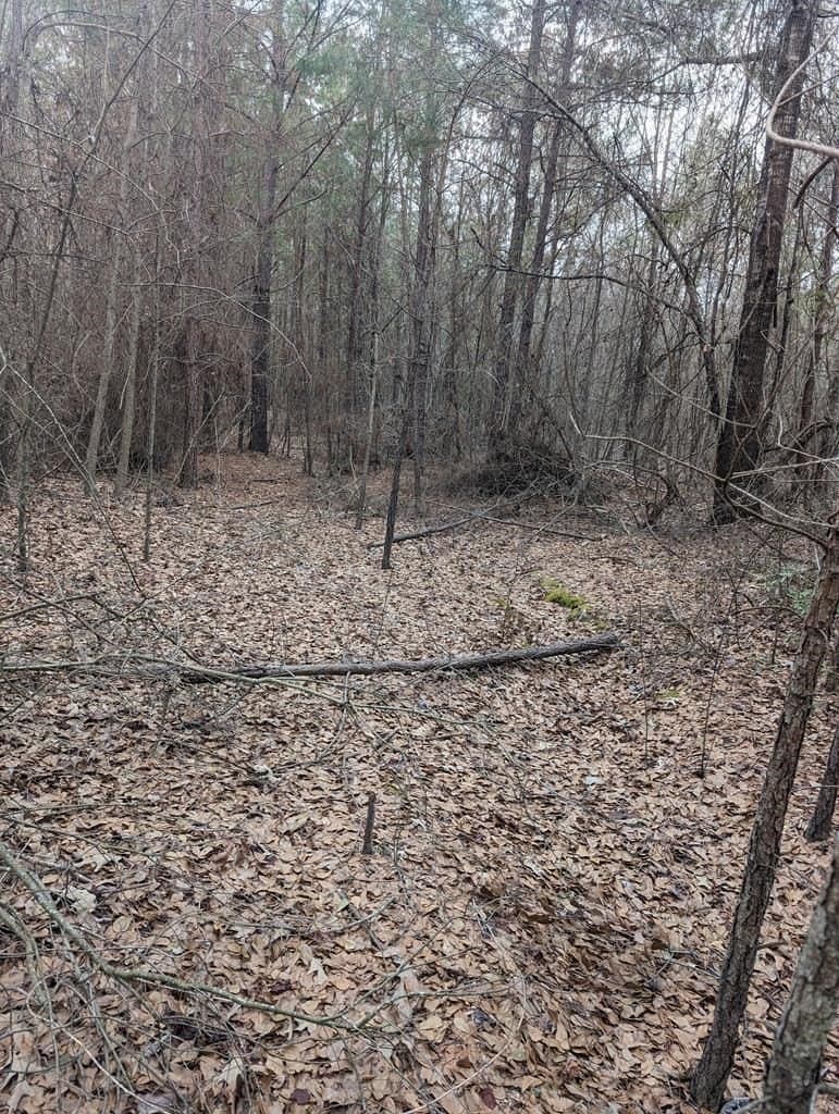 9.8 acres in Wood County - photo 3