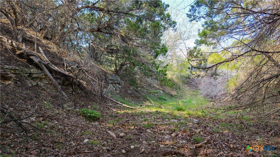 291.56 acres in Bandera County - photo 12