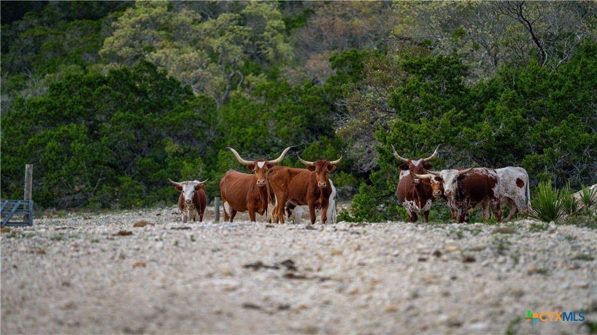 291.56 acres in Bandera County - photo 17