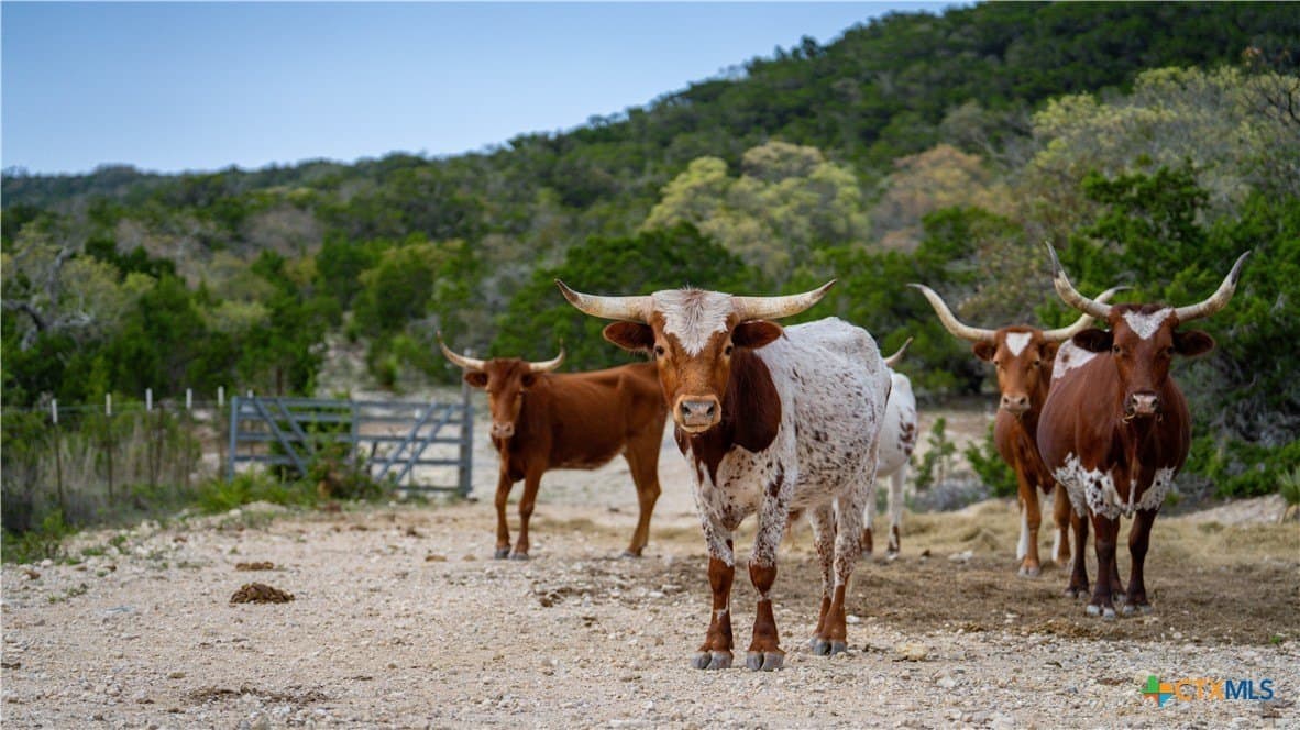 291.56 acres in Bandera County - photo 18