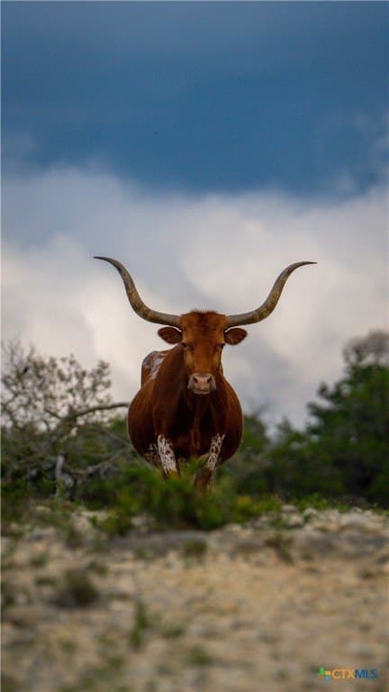 291.56 acres in Bandera County - photo 8