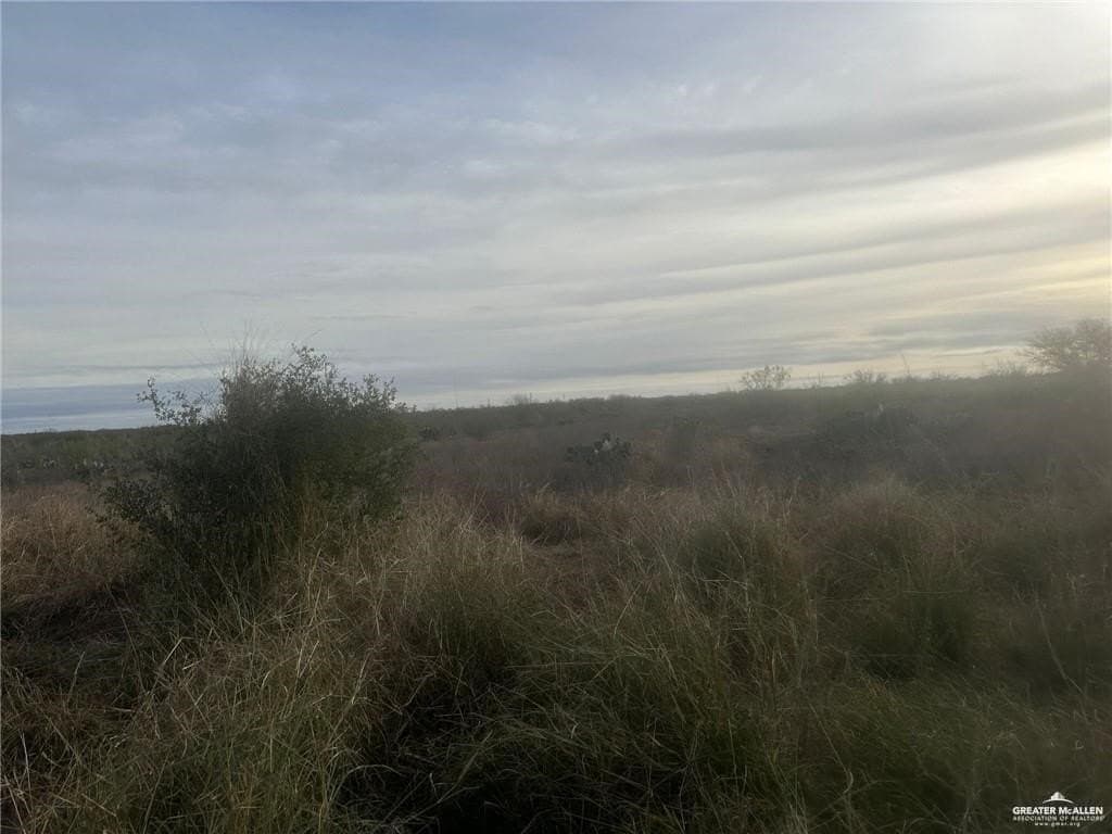 10.46 acres in Jim Wells County - photo 10