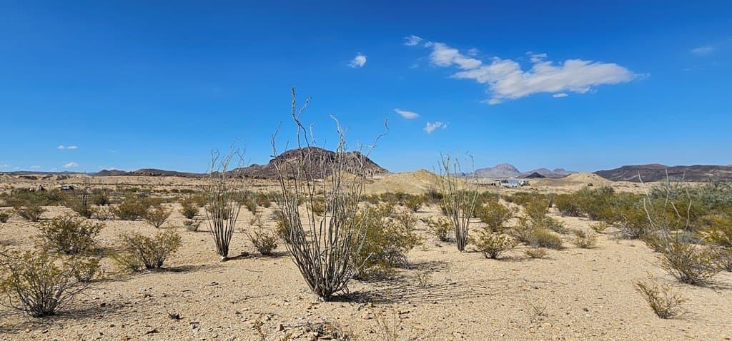 5 acres in Brewster County - photo 9
