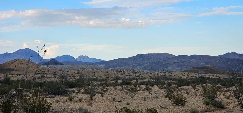 5 acres in Brewster County - photo 4