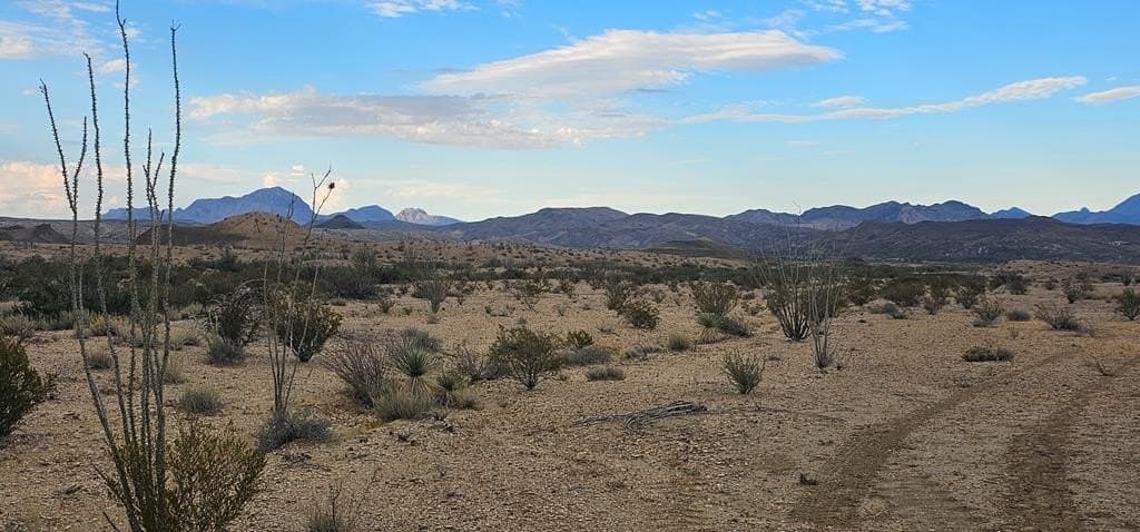 5 acres in Brewster County - photo 5