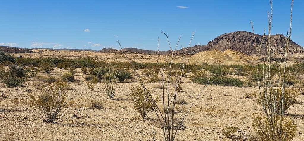 5 acres in Brewster County - photo 12