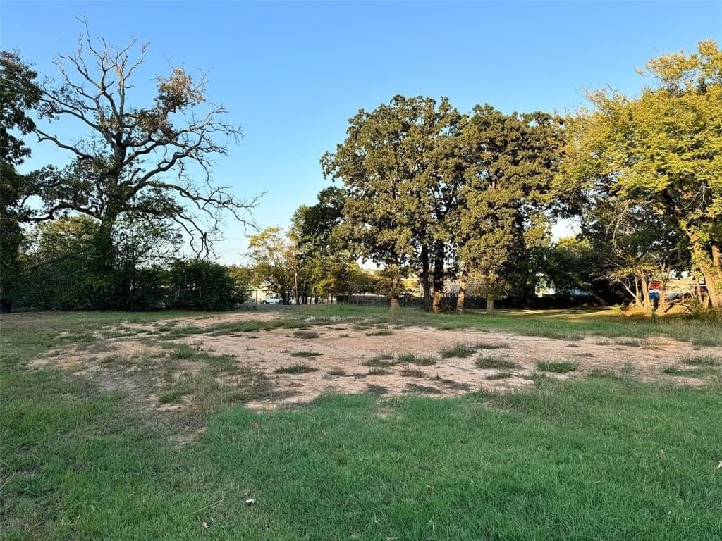 0.15 acres in Titus County - photo 4
