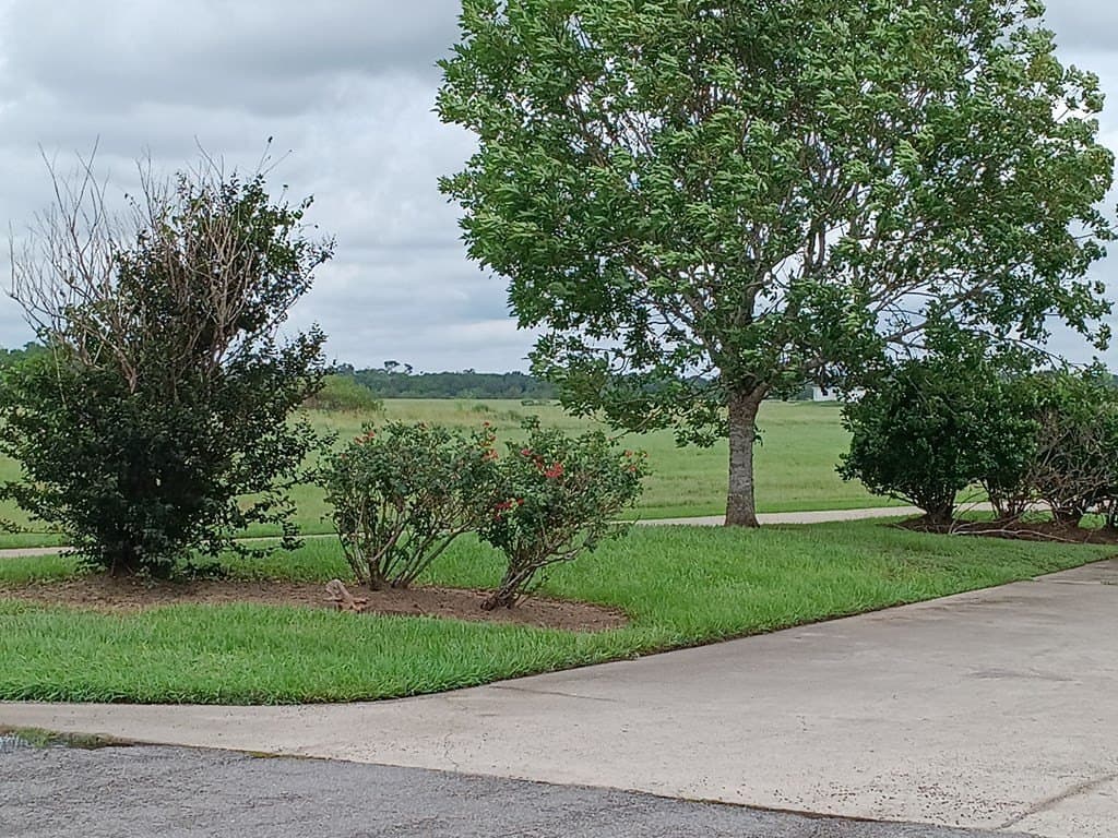 0.95 acres in Texas County - photo 6