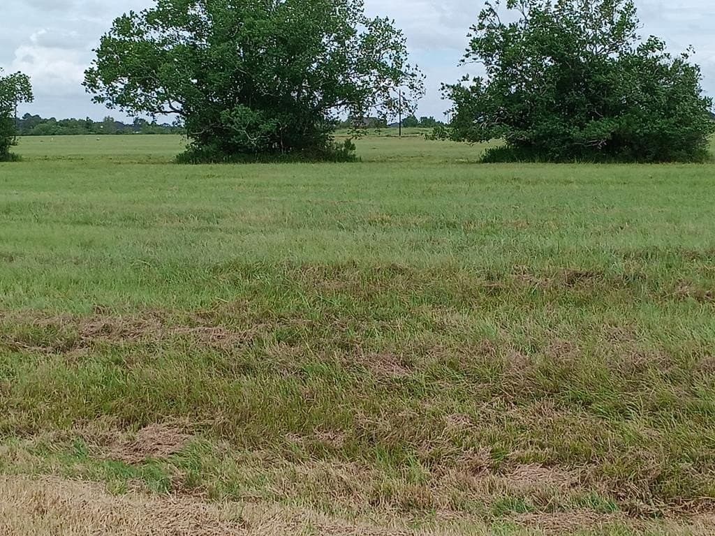 00 BRAHMAN TRAIL
