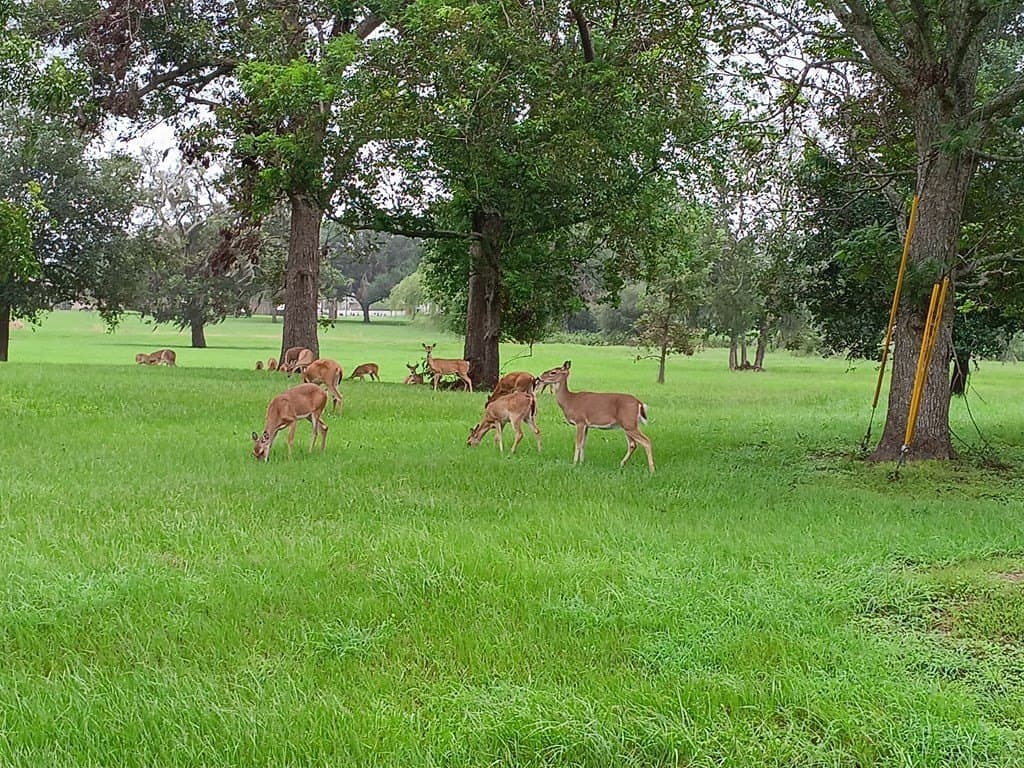 0.95 acres in Texas County - photo 3