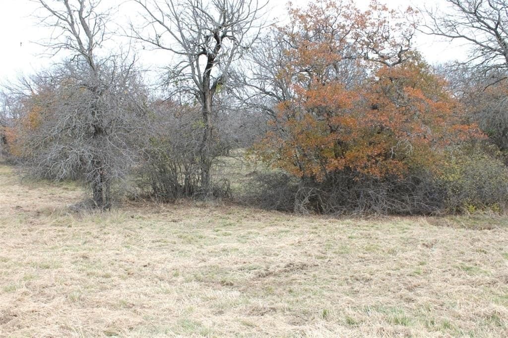 1.57 acres in Wise County - photo 5