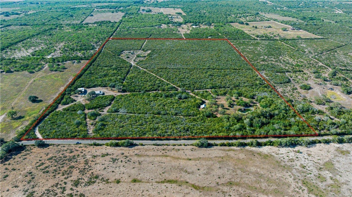 45.79 acres in Live Oak County - photo 12