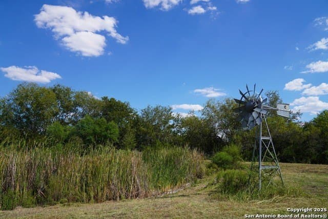 45.79 acres in Live Oak County - photo 21