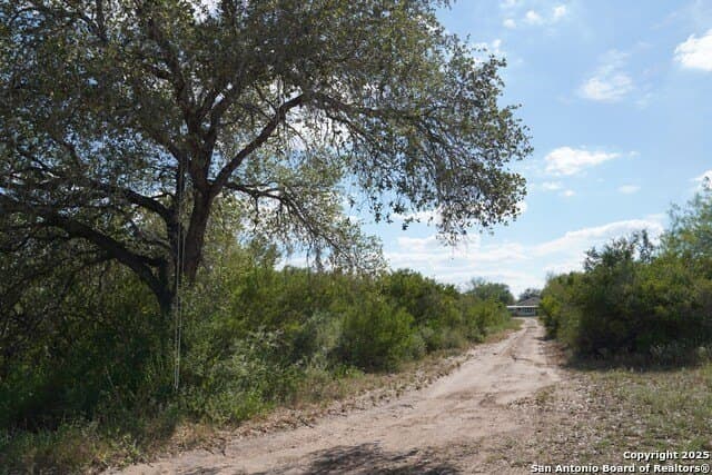 45.79 acres in Live Oak County - photo 3