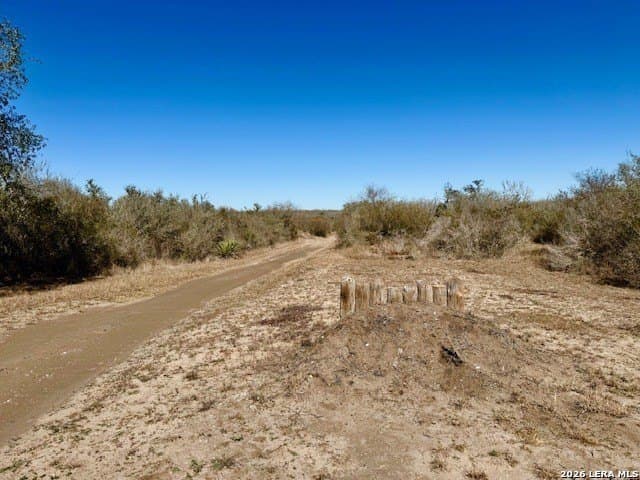 45.79 acres in Live Oak County - photo 29