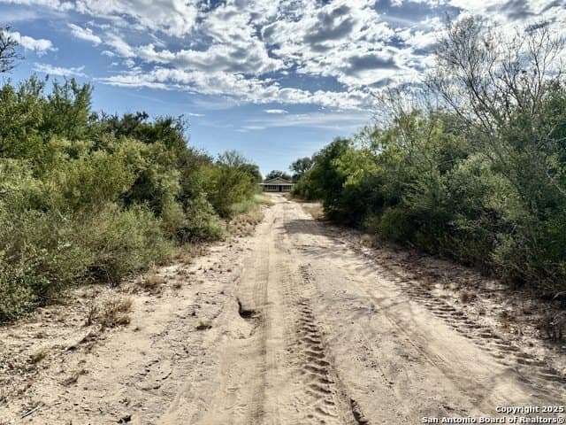 45.79 acres in Live Oak County - photo 38
