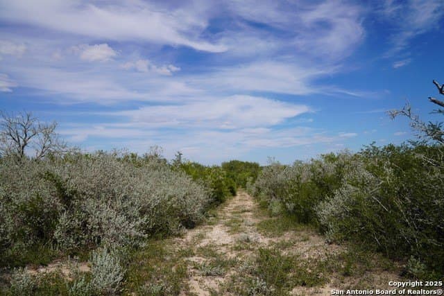 45.79 acres in Live Oak County - photo 34