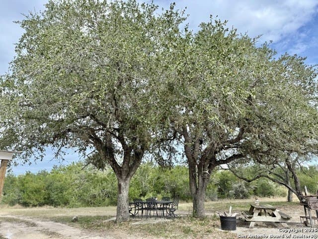 45.79 acres in Live Oak County - photo 18