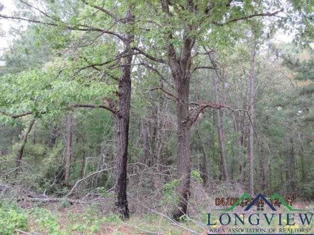16.87 acres in Rusk County - photo 2