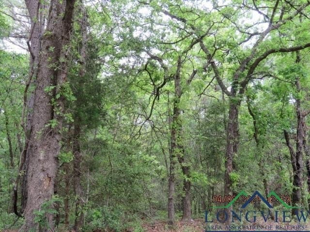 16.87 acres in Rusk County - photo 6