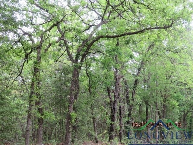 16.87 acres in Rusk County - photo 7