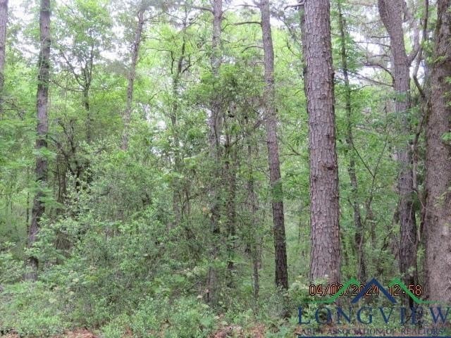 16.87 acres in Rusk County - photo 5