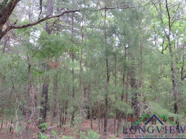 16.87 acres in Rusk County - photo 3