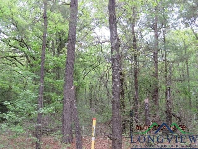 16.87 acres in Rusk County - photo 4