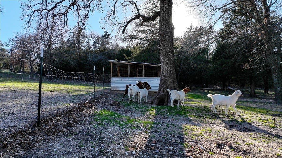 23.34 acres in Montague County - photo 18