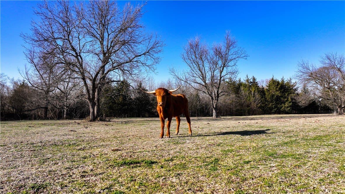 23.34 acres in Montague County - photo 12