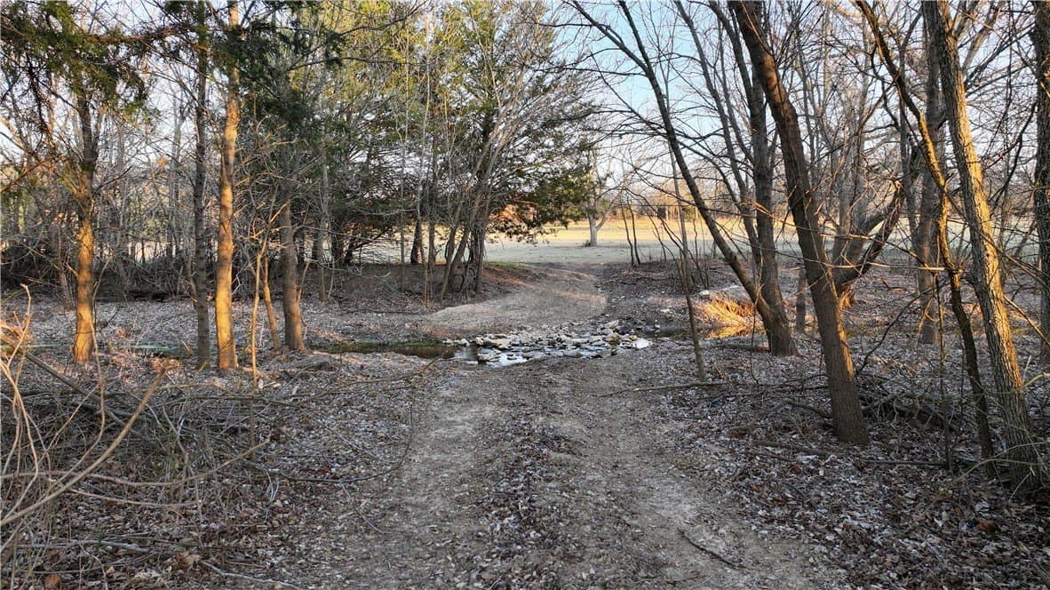 23.34 acres in Montague County - photo 40