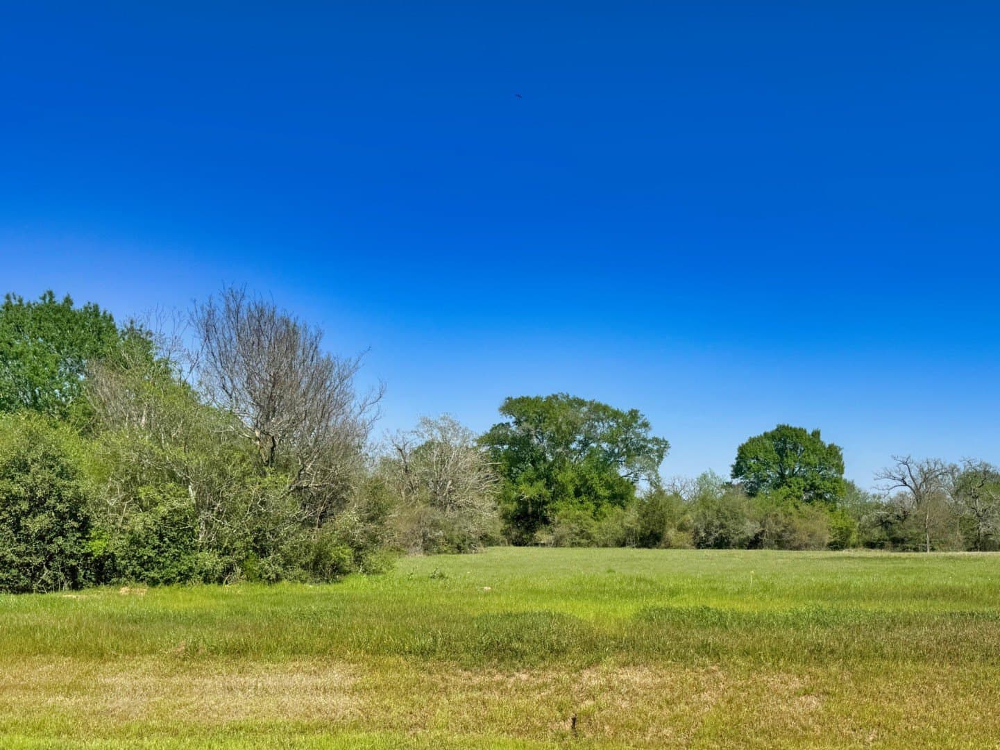 10246 Panther Creek Drive