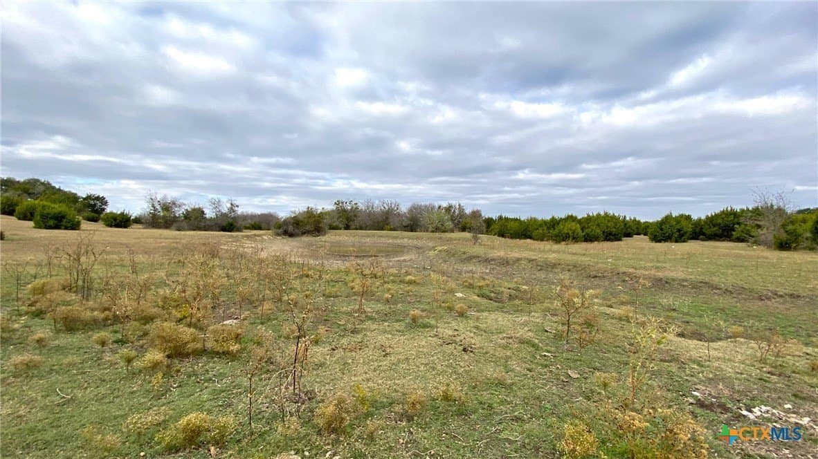 123.19 acres in Coryell County - photo 5